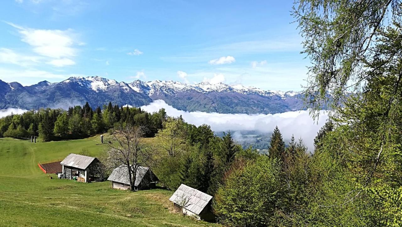 Apartments Pod Rodico Bohinjska Bistrica Exteriör bild