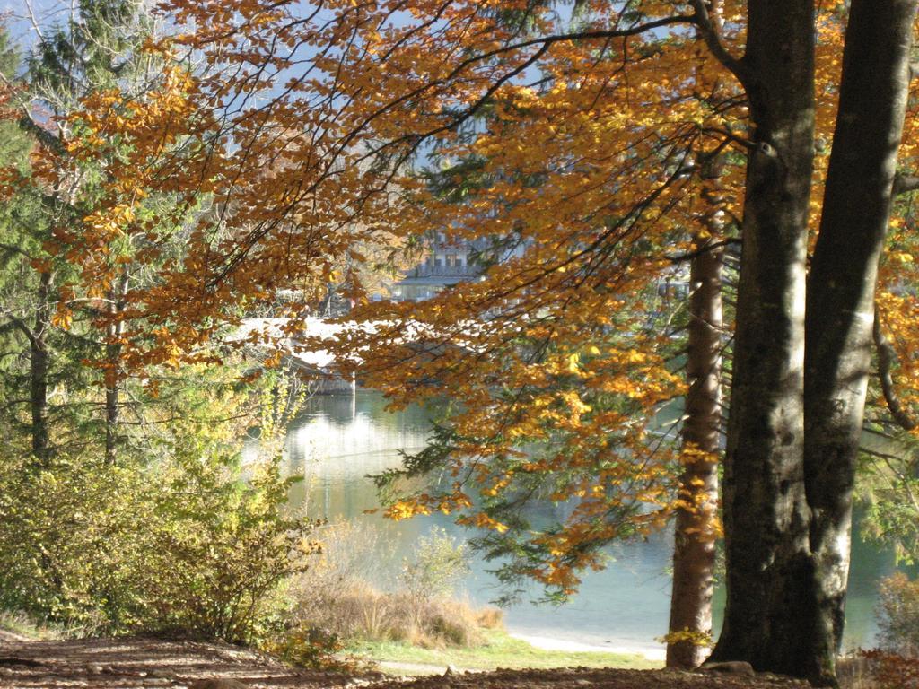 Apartments Pod Rodico Bohinjska Bistrica Rum bild