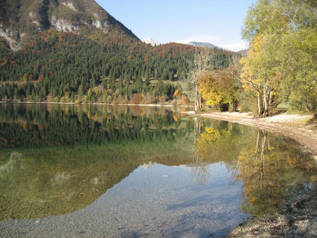 Apartments Pod Rodico Bohinjska Bistrica Exteriör bild
