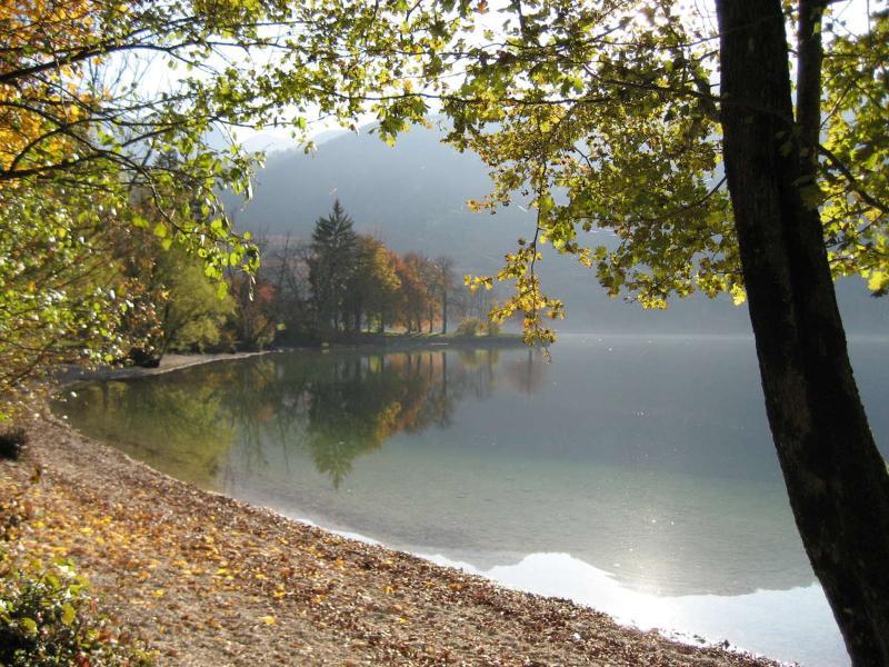 Apartments Pod Rodico Bohinjska Bistrica Exteriör bild